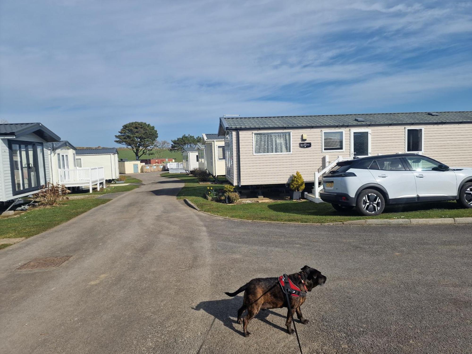 Durdlee Door, D27, Main Rd, West Lulworth, Wareham Bh20 5Pu Hotel Exterior foto